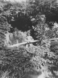 Claude Monet on the Japanese Bridge in his garden at Giverny